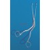 Magill Child Introducing Forceps 20cm