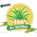 Mosquitno 100% Natural Insect Repellent Wrist Band Citronella Mosquito X4