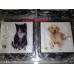 Mirror Cat Or Dog Designs Square And Compact