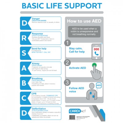 Basic Life Support AED CPR Wall Chart Cardiac A3