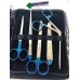 Dissecting Kit Lab, Students, Uni, Hobbyist 17 Piece Stainless Instruments K6