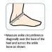 Donjoy Performance Pod Ankle Support Brace