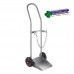 Oxygen Trolley Stainless Steel Size D with Security Chain