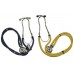 Stethoscope Sprague Rappaport Professional Paediatricians Cardiologists Students