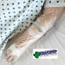 Seal Tight Seal Band Arm and Leg Protector 50/Pkt