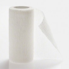 Askina Fix E Bandage Polyurethane-cotton Fabric Horse 10cm Individually Wrapped