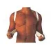 Bodyassist Posture Improver Corrector Shoulder Brace Support Bodyassist Bodyassist Posture Improver Corrector Shoulder Brace Support Bodyassist